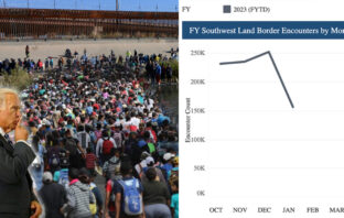 Why Did Illegal Immigration Apprehensions Suddenly Decrease?