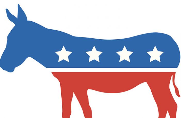 Democrat Donkey
