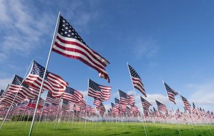 Rasmussen Poll: High Support for E-Verify, Low Support for Illegal Alien ‘Lifetime Work Permits’