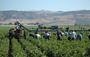 Labor Dept. Sows a Bogus Protection Racket for Migrant Farm Workers