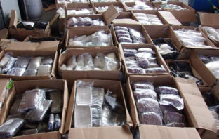 Fentanyl Frenzy: Record Seizures and Rising Death Toll Highlight a Crisis at the Border