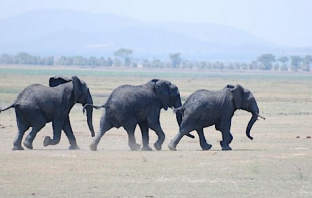 House GOP Retreat on American People